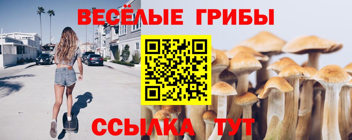 Галлюциногенные грибы мухоморы  Вход с VPN  Богородск 